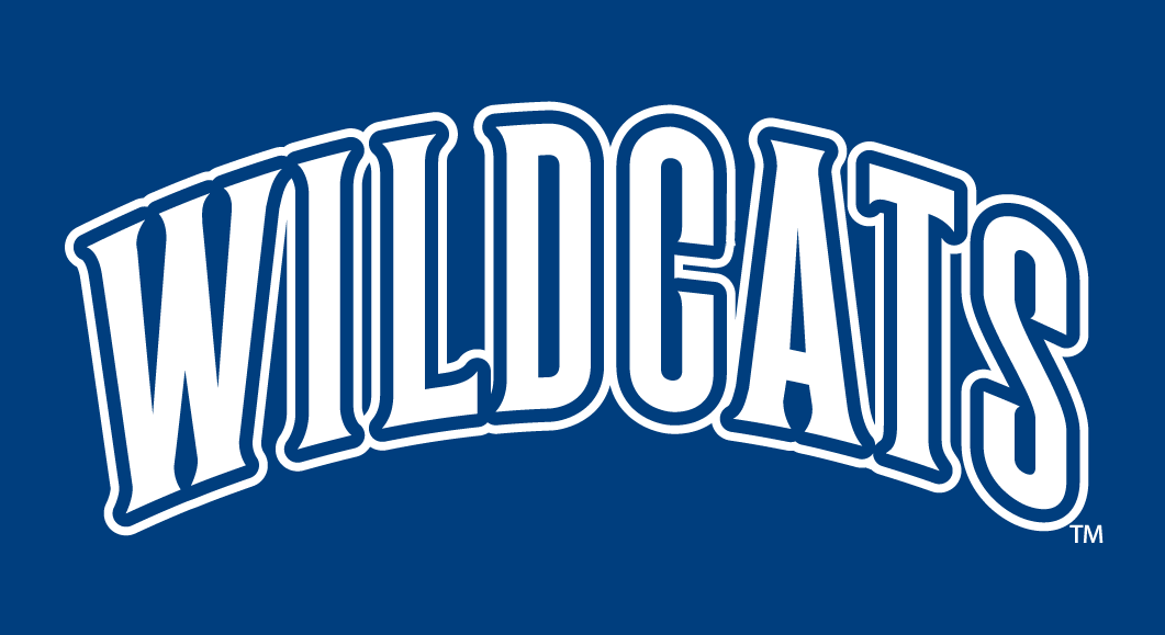 Villanova Wildcats 1996-Pres Wordmark Logo v2 diy DTF decal sticker